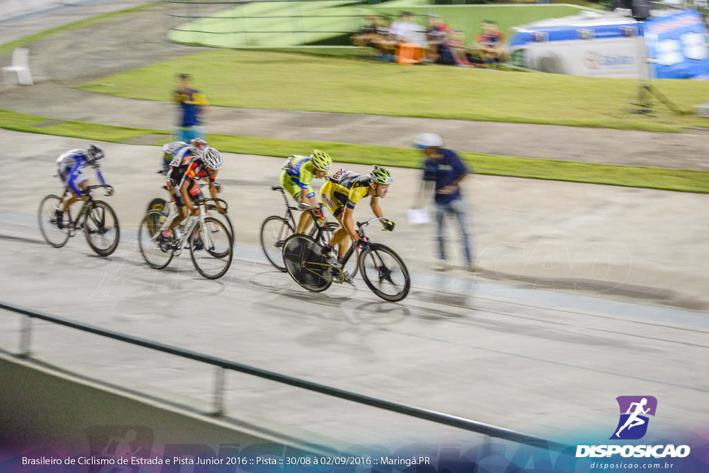 Pista :: Brasileiro de Ciclismo de Estrada e Pista 2016