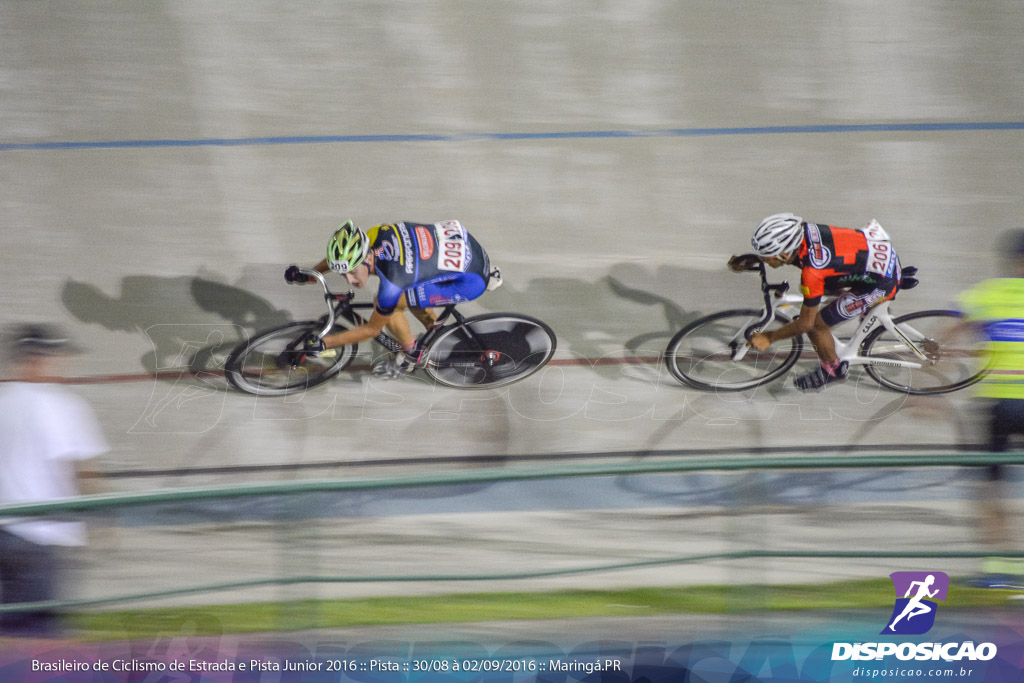 Pista :: Brasileiro de Ciclismo de Estrada e Pista 2016