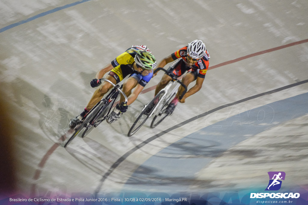 Pista :: Brasileiro de Ciclismo de Estrada e Pista 2016