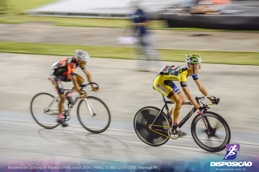 Pista :: Brasileiro de Ciclismo de Estrada e Pista 2016