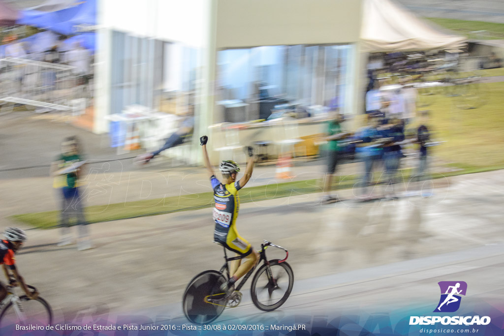 Pista :: Brasileiro de Ciclismo de Estrada e Pista 2016