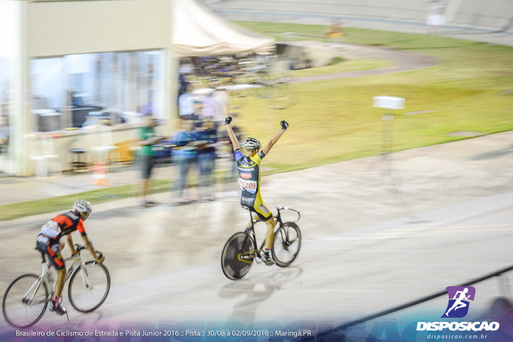 Pista :: Brasileiro de Ciclismo de Estrada e Pista 2016