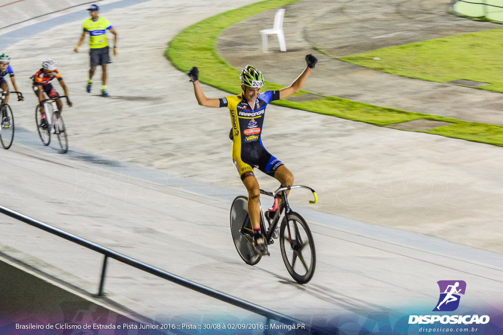 Pista :: Brasileiro de Ciclismo de Estrada e Pista 2016