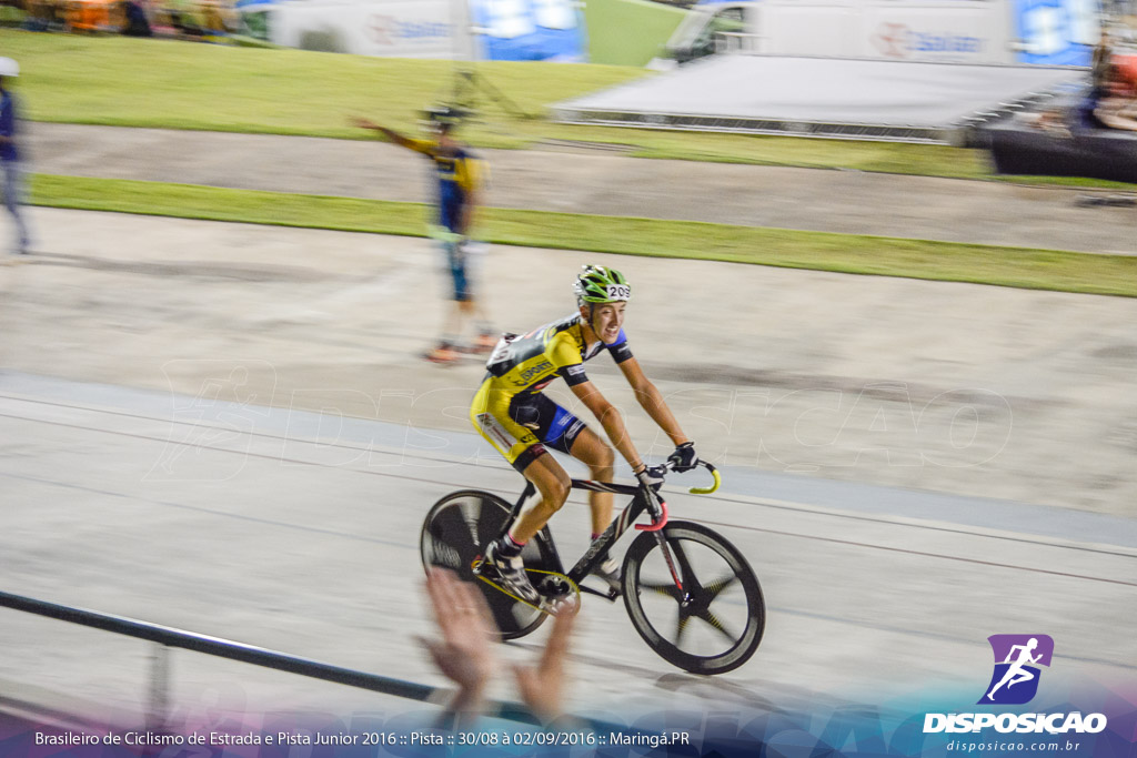 Pista :: Brasileiro de Ciclismo de Estrada e Pista 2016