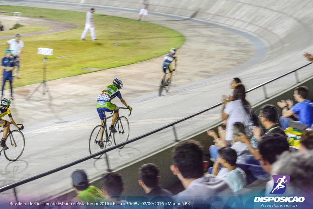 Pista :: Brasileiro de Ciclismo de Estrada e Pista 2016