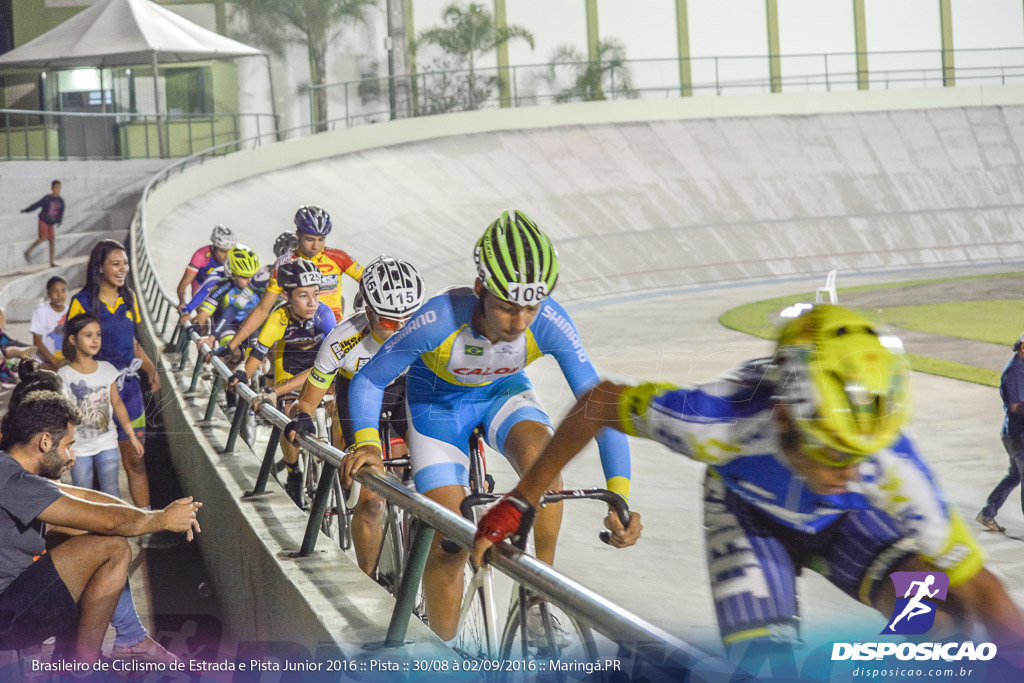 Pista :: Brasileiro de Ciclismo de Estrada e Pista 2016