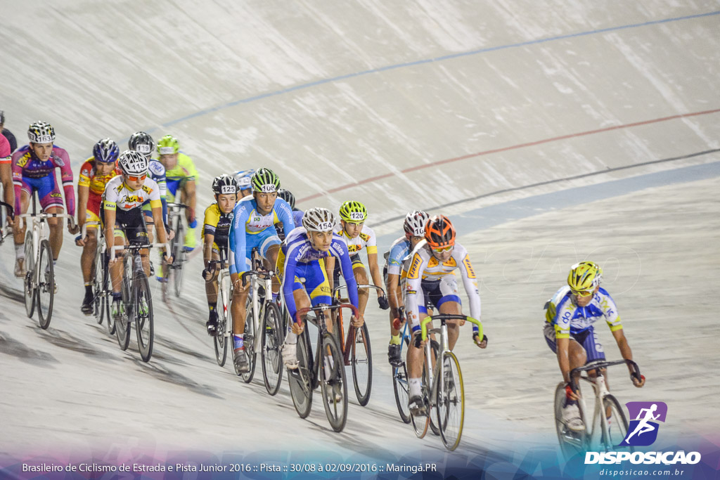 Pista :: Brasileiro de Ciclismo de Estrada e Pista 2016