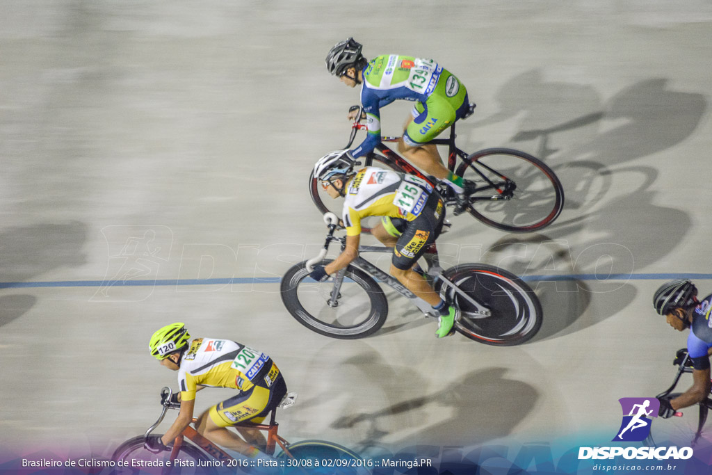 Pista :: Brasileiro de Ciclismo de Estrada e Pista 2016