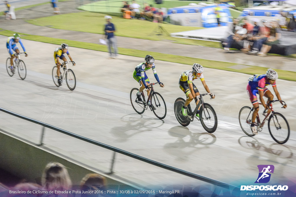 Pista :: Brasileiro de Ciclismo de Estrada e Pista 2016