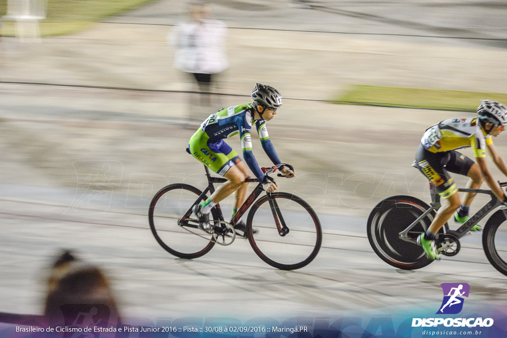 Pista :: Brasileiro de Ciclismo de Estrada e Pista 2016