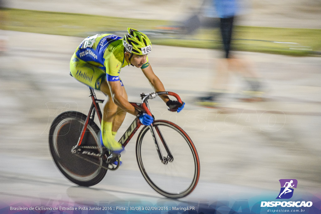 Pista :: Brasileiro de Ciclismo de Estrada e Pista 2016