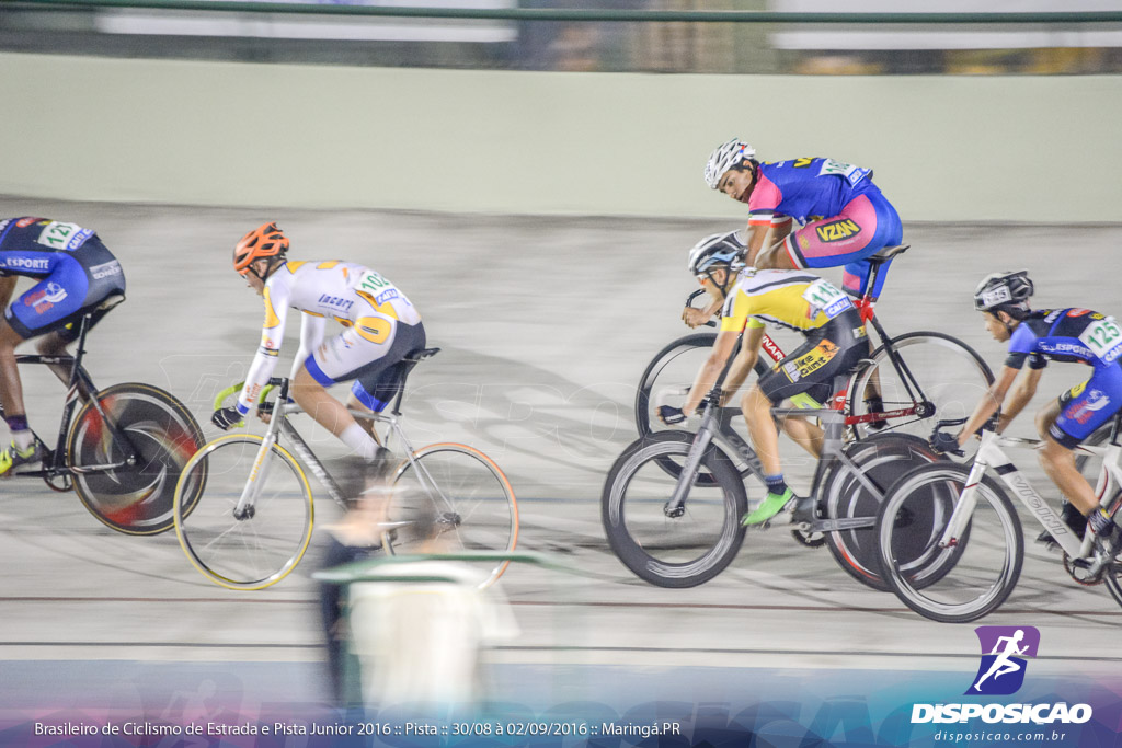 Pista :: Brasileiro de Ciclismo de Estrada e Pista 2016