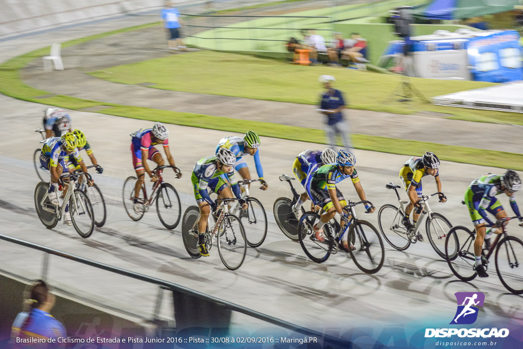 Pista :: Brasileiro de Ciclismo de Estrada e Pista 2016