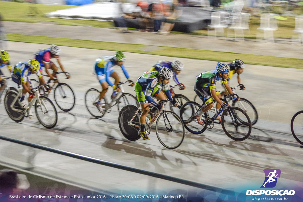 Pista :: Brasileiro de Ciclismo de Estrada e Pista 2016