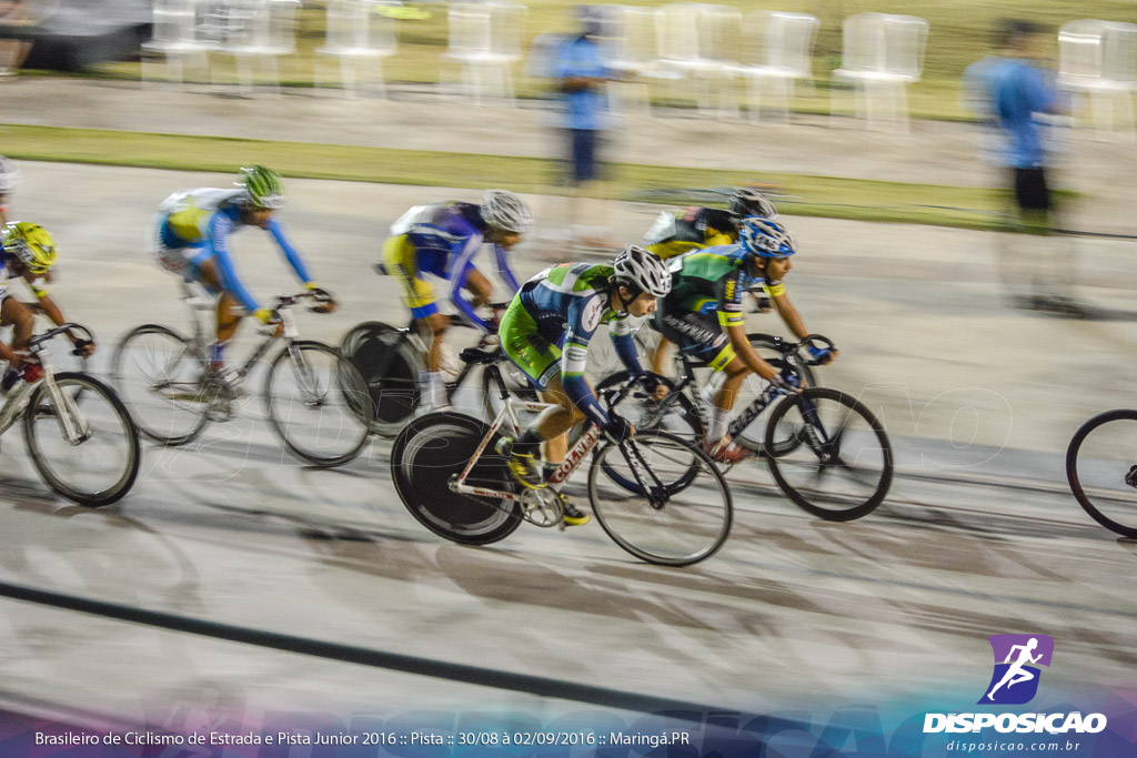 Pista :: Brasileiro de Ciclismo de Estrada e Pista 2016