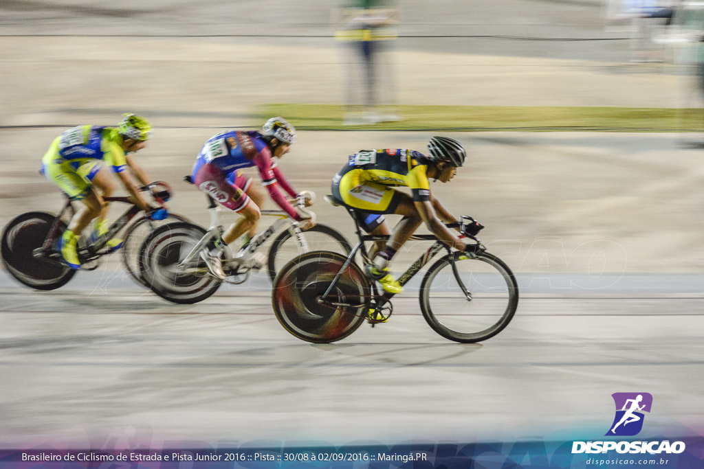 Pista :: Brasileiro de Ciclismo de Estrada e Pista 2016