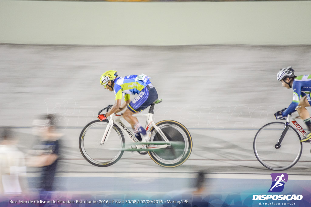 Pista :: Brasileiro de Ciclismo de Estrada e Pista 2016