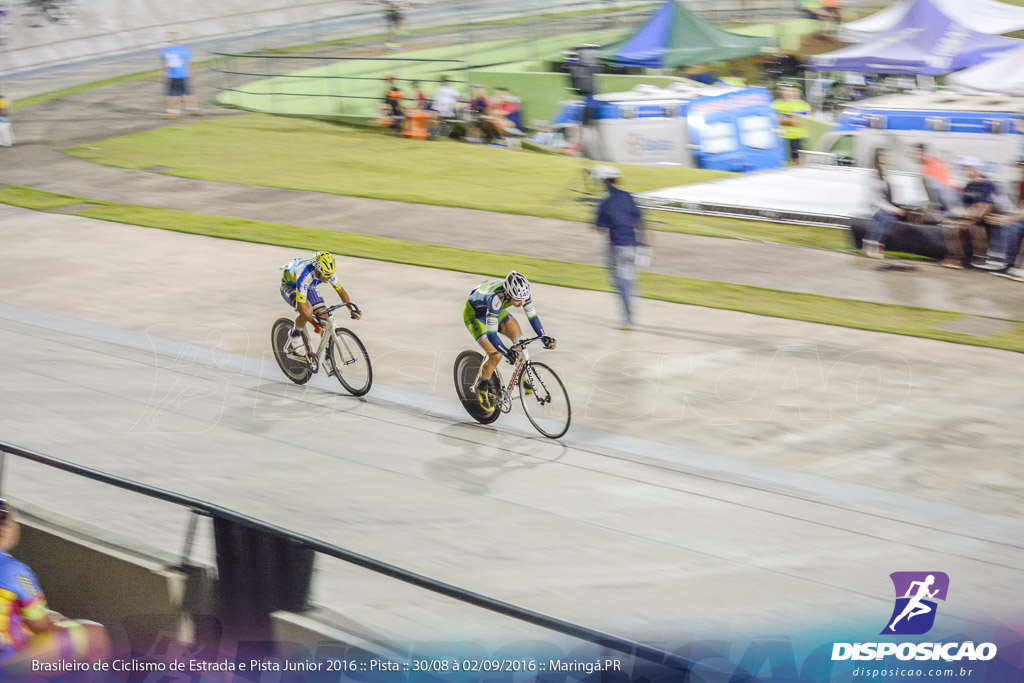 Pista :: Brasileiro de Ciclismo de Estrada e Pista 2016