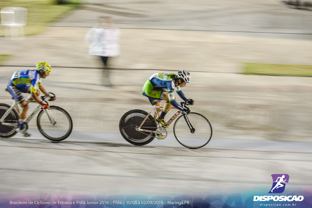 Pista :: Brasileiro de Ciclismo de Estrada e Pista 2016