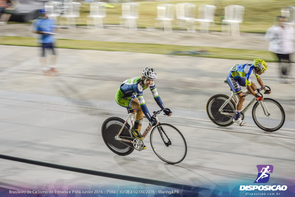 Pista :: Brasileiro de Ciclismo de Estrada e Pista 2016