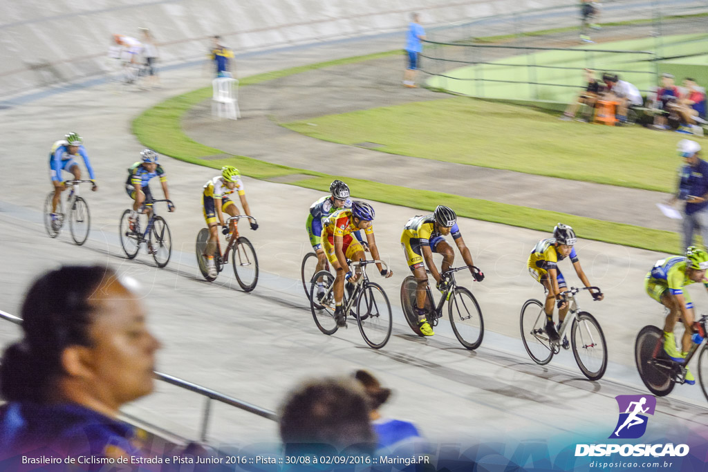 Pista :: Brasileiro de Ciclismo de Estrada e Pista 2016