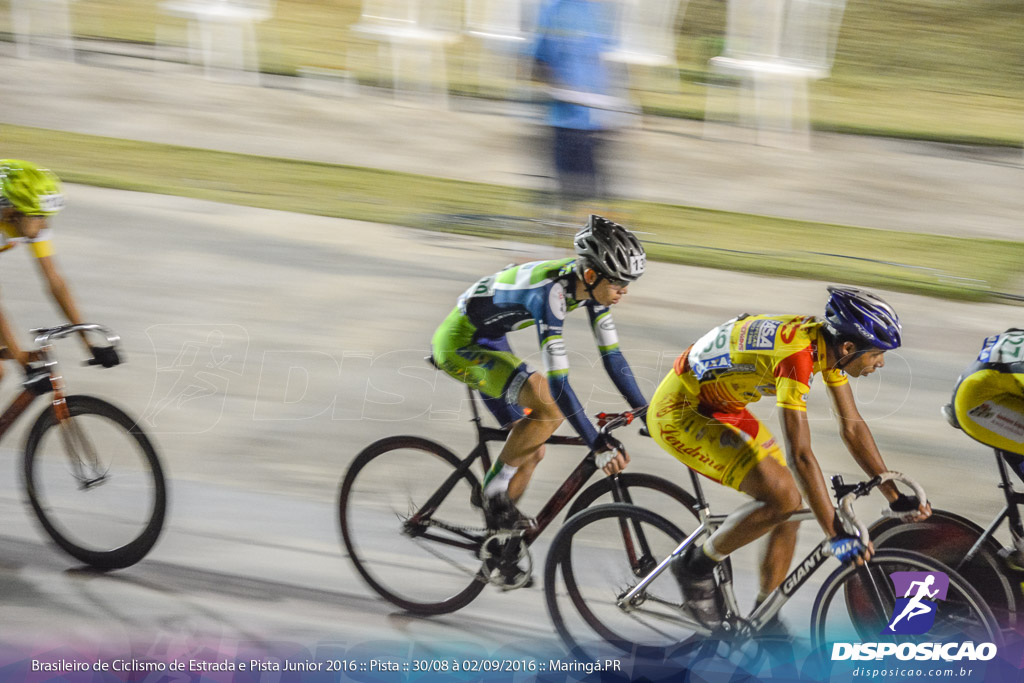 Pista :: Brasileiro de Ciclismo de Estrada e Pista 2016