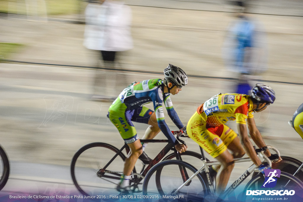 Pista :: Brasileiro de Ciclismo de Estrada e Pista 2016