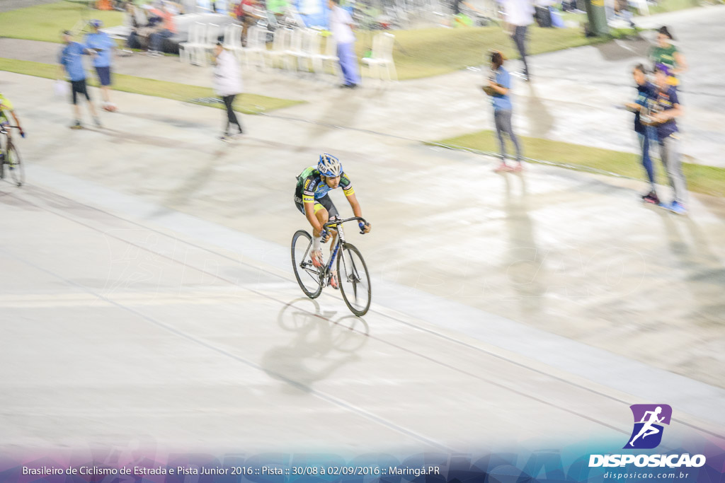 Pista :: Brasileiro de Ciclismo de Estrada e Pista 2016