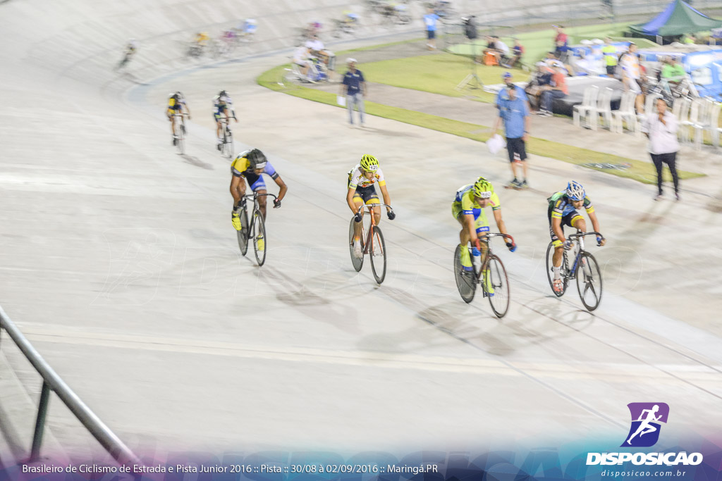 Pista :: Brasileiro de Ciclismo de Estrada e Pista 2016