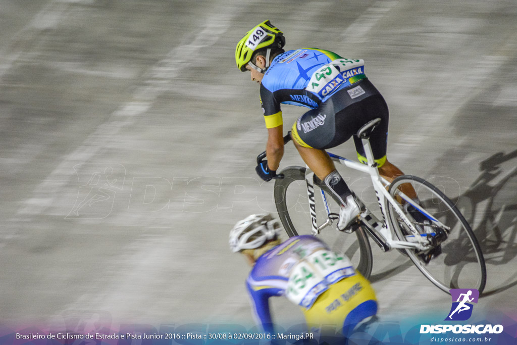 Pista :: Brasileiro de Ciclismo de Estrada e Pista 2016