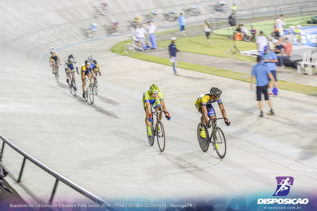 Pista :: Brasileiro de Ciclismo de Estrada e Pista 2016