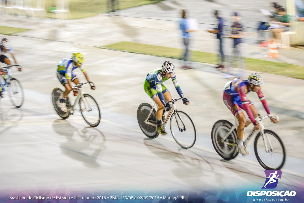 Pista :: Brasileiro de Ciclismo de Estrada e Pista 2016