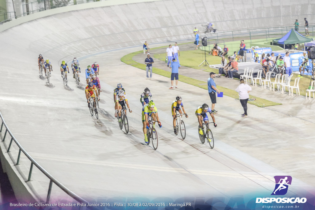 Pista :: Brasileiro de Ciclismo de Estrada e Pista 2016