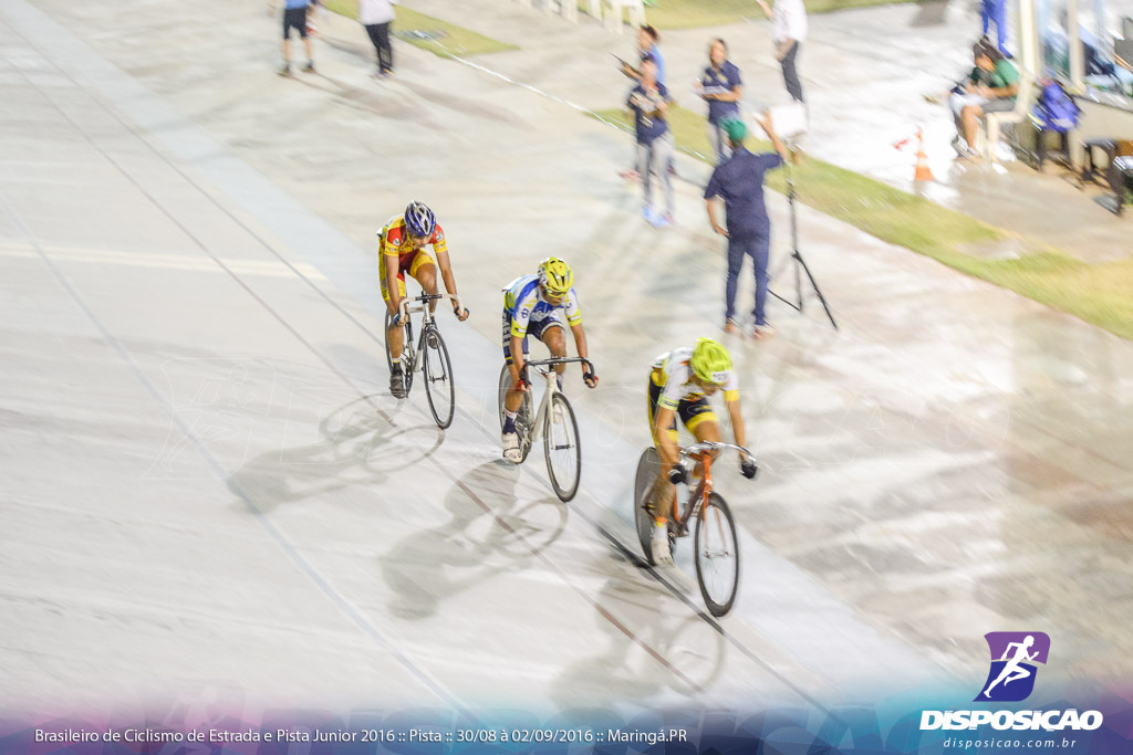 Pista :: Brasileiro de Ciclismo de Estrada e Pista 2016