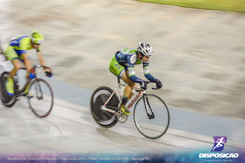 Pista :: Brasileiro de Ciclismo de Estrada e Pista 2016