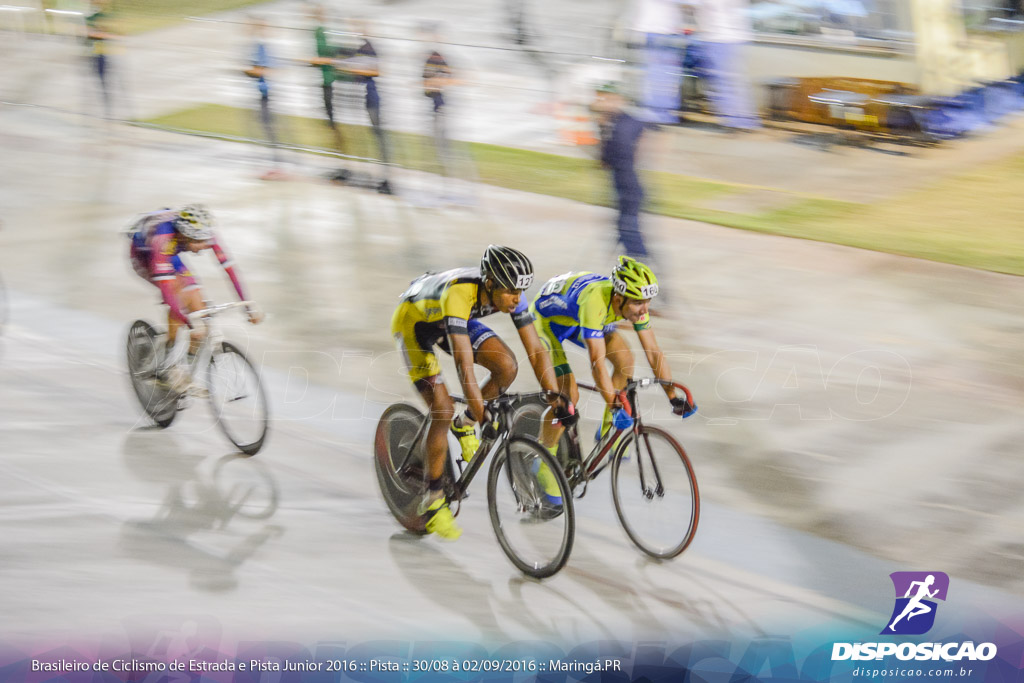 Pista :: Brasileiro de Ciclismo de Estrada e Pista 2016