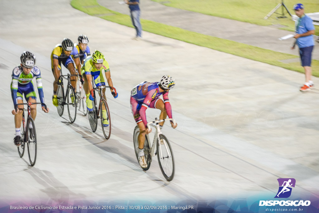 Pista :: Brasileiro de Ciclismo de Estrada e Pista 2016