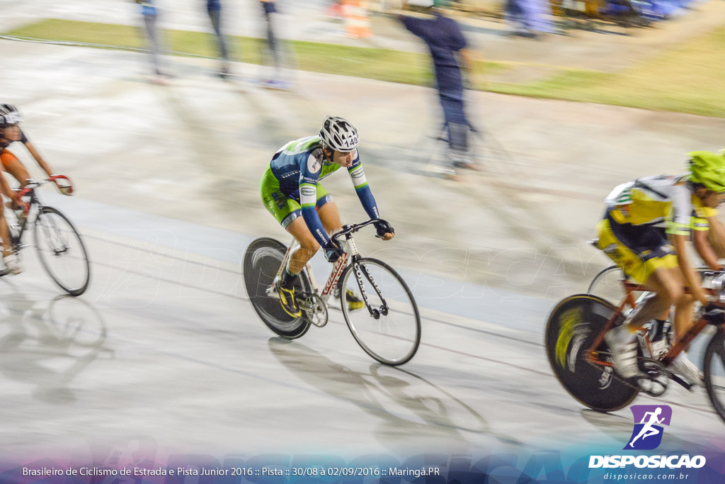 Pista :: Brasileiro de Ciclismo de Estrada e Pista 2016