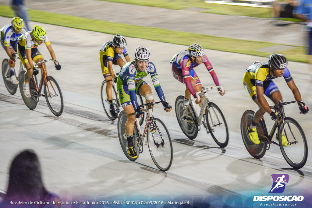 Pista :: Brasileiro de Ciclismo de Estrada e Pista 2016