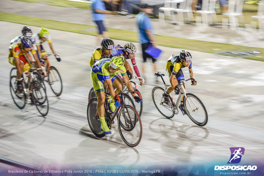 Pista :: Brasileiro de Ciclismo de Estrada e Pista 2016