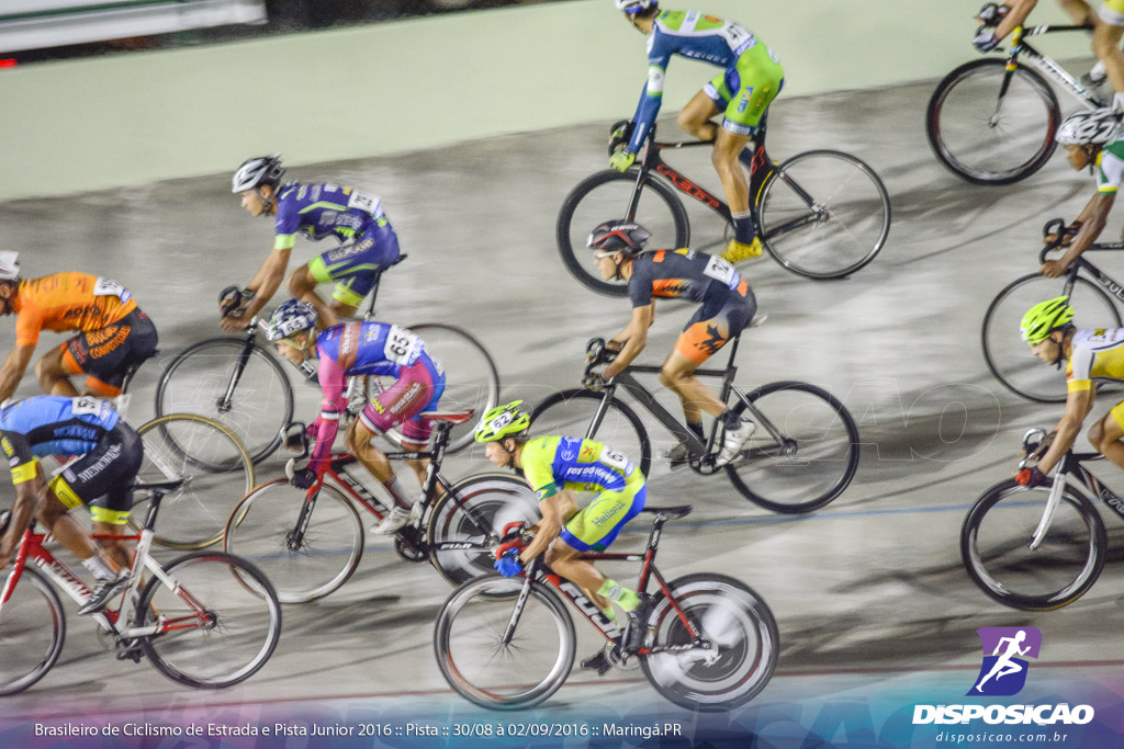 Pista :: Brasileiro de Ciclismo de Estrada e Pista 2016