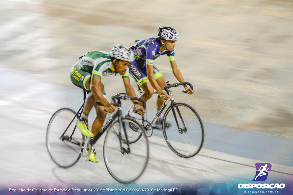 Pista :: Brasileiro de Ciclismo de Estrada e Pista 2016