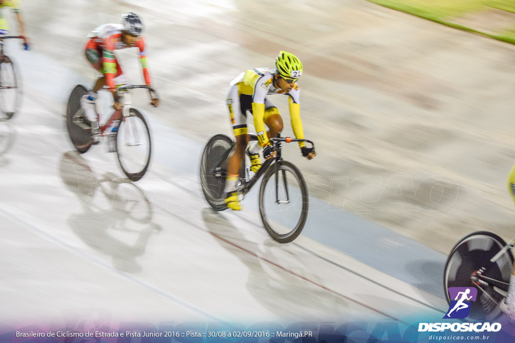 Pista :: Brasileiro de Ciclismo de Estrada e Pista 2016