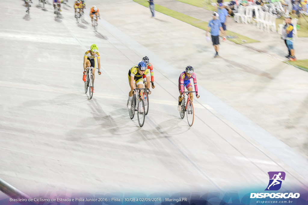 Pista :: Brasileiro de Ciclismo de Estrada e Pista 2016