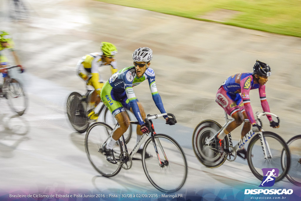 Pista :: Brasileiro de Ciclismo de Estrada e Pista 2016