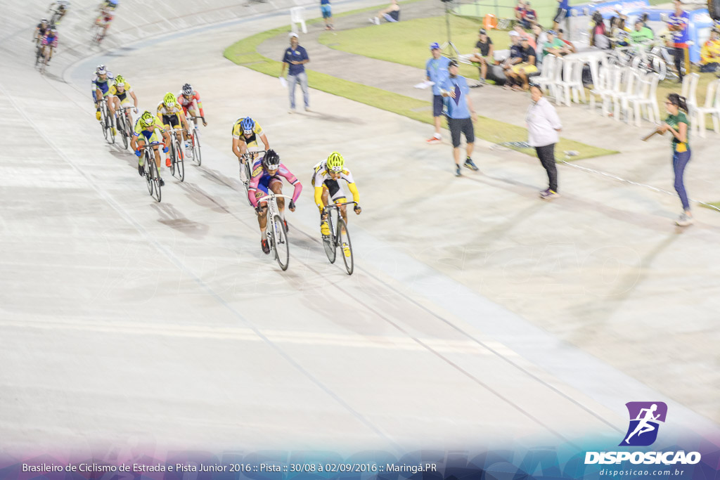 Pista :: Brasileiro de Ciclismo de Estrada e Pista 2016