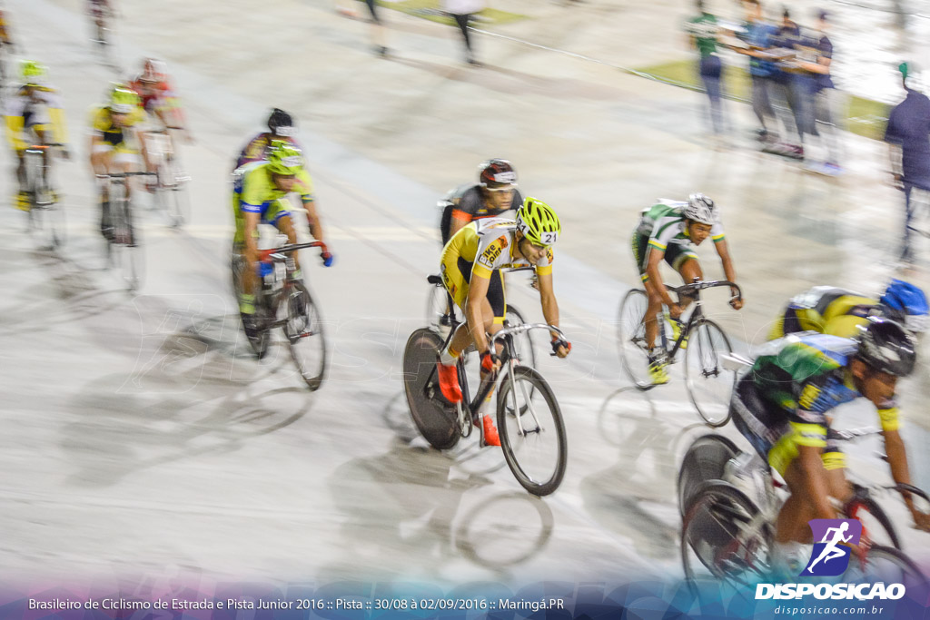 Pista :: Brasileiro de Ciclismo de Estrada e Pista 2016