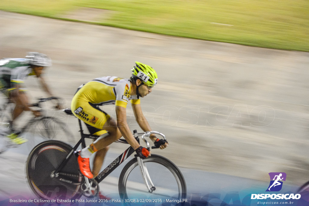 Pista :: Brasileiro de Ciclismo de Estrada e Pista 2016