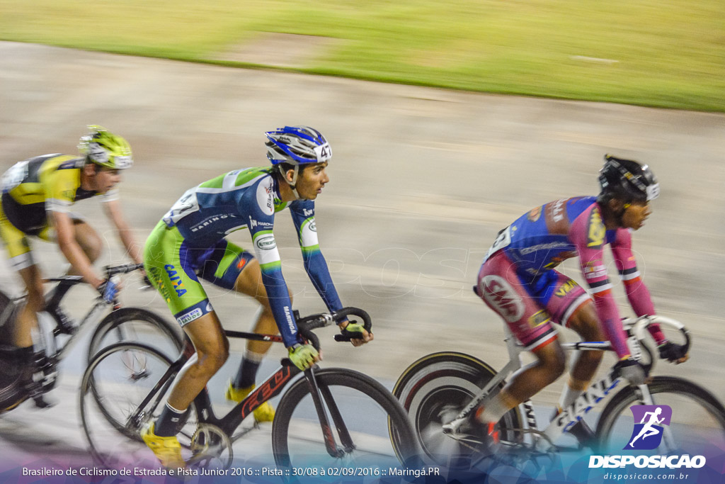 Pista :: Brasileiro de Ciclismo de Estrada e Pista 2016