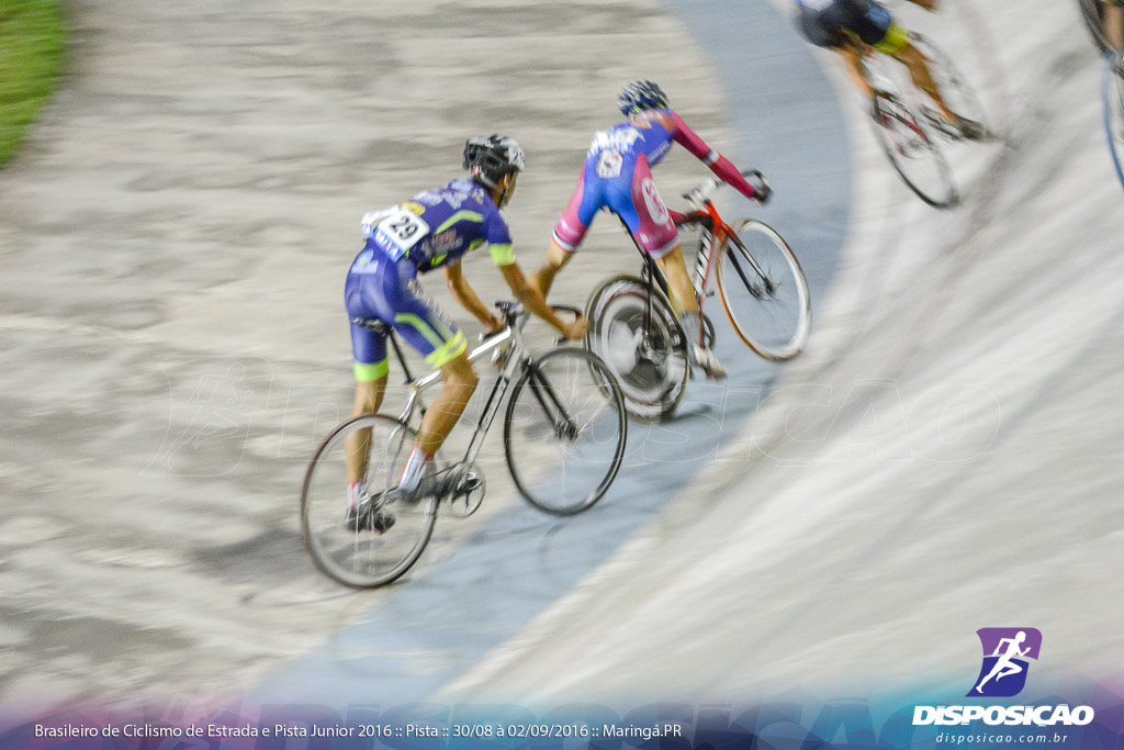 Pista :: Brasileiro de Ciclismo de Estrada e Pista 2016